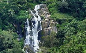 Ella Waterfall View